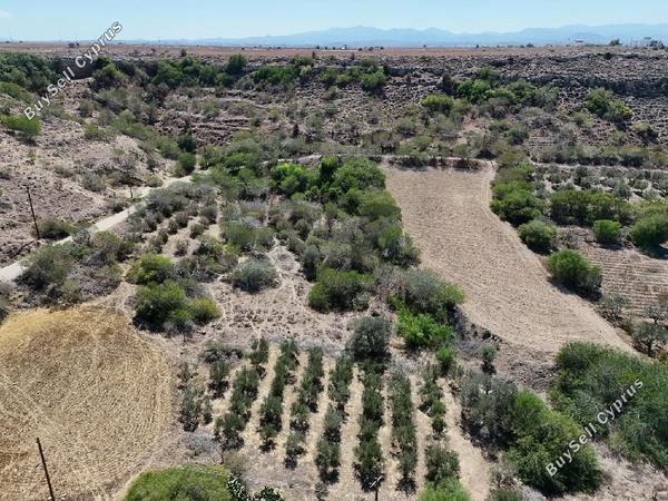 land for sale mammari nicosia 8406709 image 14885361