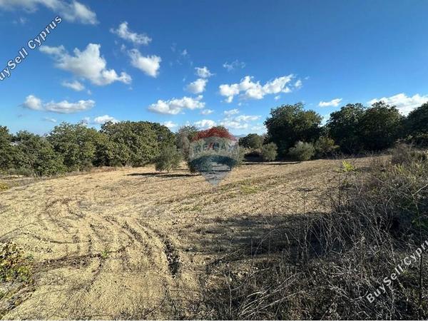 land for sale stroumbi paphos 8350809 image 14435198