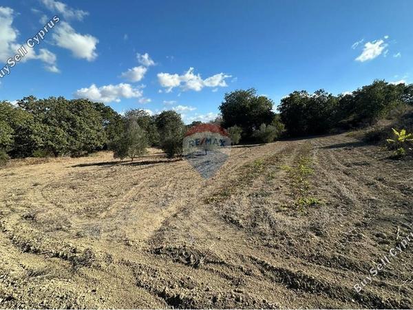 land for sale stroumbi paphos 8350809 image 14435199