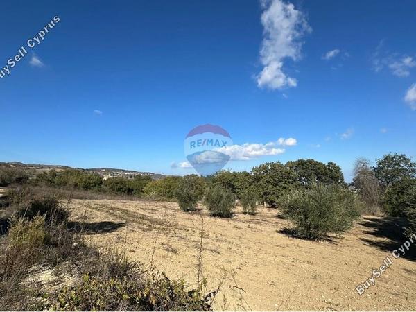 land for sale stroumbi paphos 8350809 image 14435200