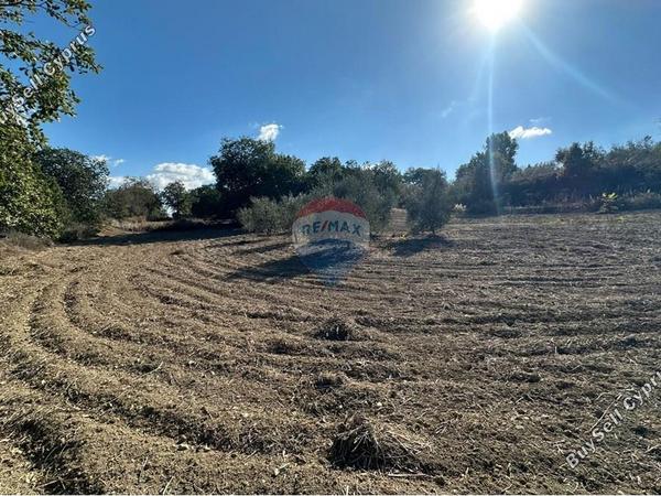 land for sale stroumbi paphos 8350809 image 14435201
