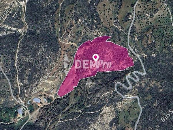land for sale agios isidoros paphos 7812909 image 14876703