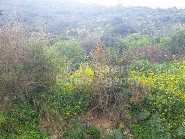 plot for sale kalavasos larnaca 1419909 image 12646899