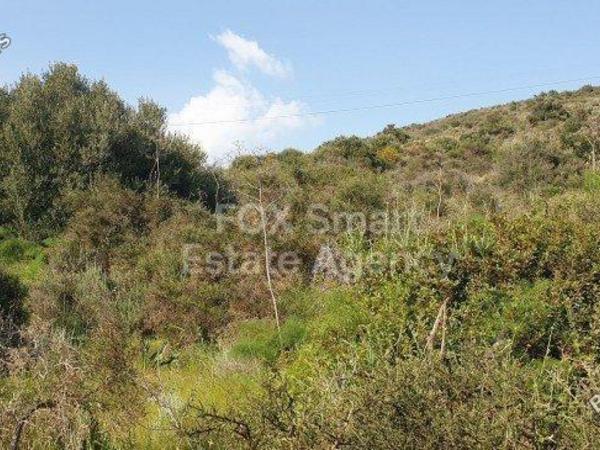 plot for sale kalavasos larnaca 1419909 image 12646906