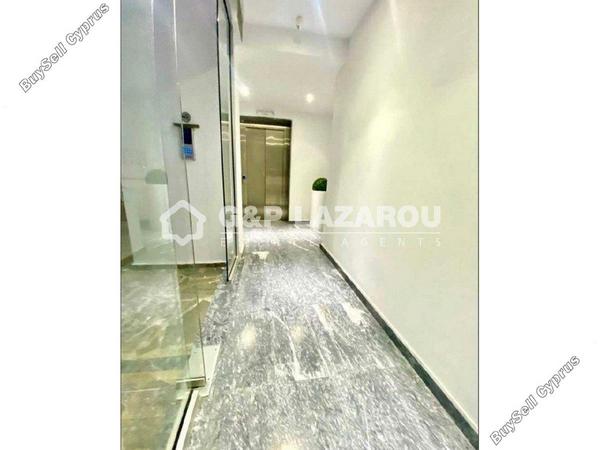 1 bedroom ground floor apartment for rent makedonitissa nicosia 8500019 image 16335656