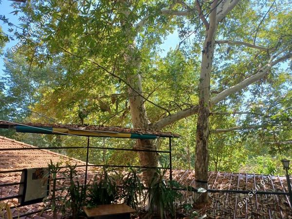 studio restaurant for sale pera pedi limassol 7739019 image 10209992