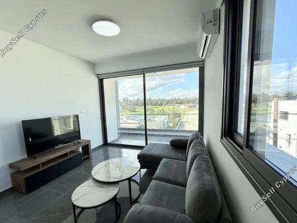 2 bedroom apartment for rent kato polemidia limassol 8676119 image 16253972