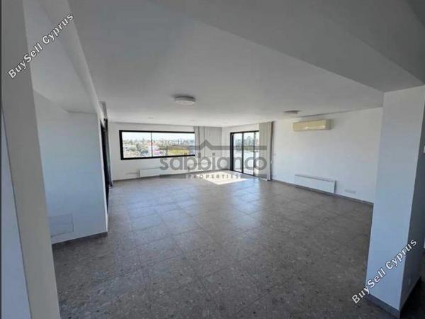 3 bedroom apartment for rent egkomi nicosia 8742119 image 16401318