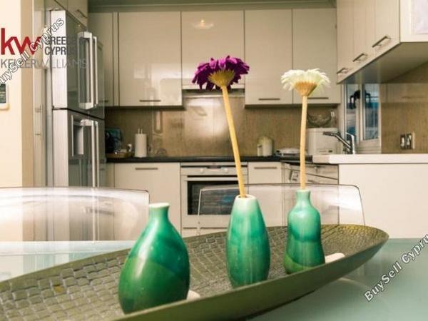 4 bedroom detached house for rent zygi larnaca 8870119 image 17216770