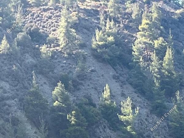 land for sale kalopanagiotis nicosia 7452119 image 9216608