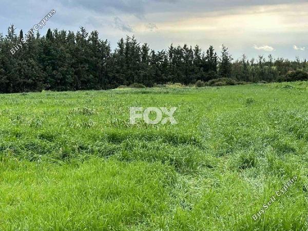 land for sale nikokleia paphos 1270119 image 16673348