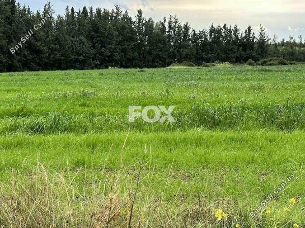 land for sale nikokleia paphos 1270119 image 5547510