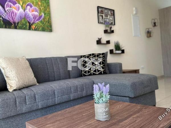 3 bedroom detached house for sale mouttalos paphos paphos 1160219 image 5538904