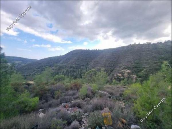 land for sale agios georgios silikou limassol 1701219 image 15597079