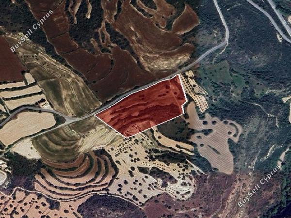 land for sale kritou tera paphos 1714219 image 15597379
