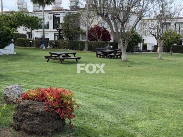 2 bedroom maisonette for sale poli chrysochous paphos 1161319 image 10031989