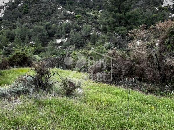 land for sale apsiou limassol 8026319 image 15452223