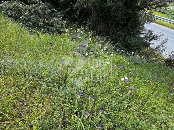 land for sale apsiou limassol 8026319 image 15452231