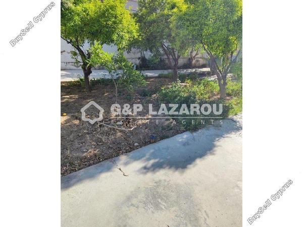 studio commercial development for rent agios dometios nicosia 1770319 image 5543811