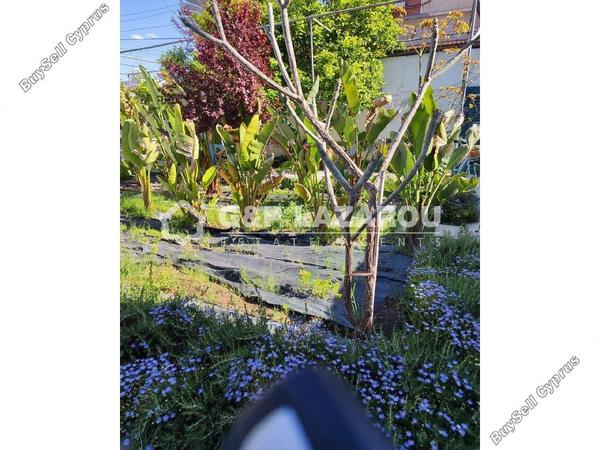 studio commercial development for rent agios dometios nicosia 1770319 image 5543812