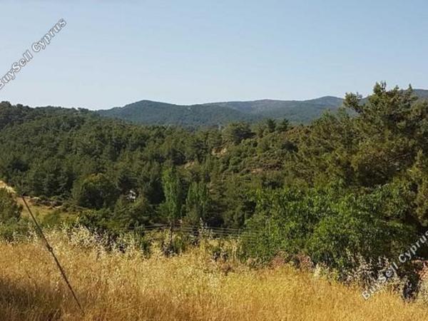 land for sale pera pedi limassol 7739419 image 11749048