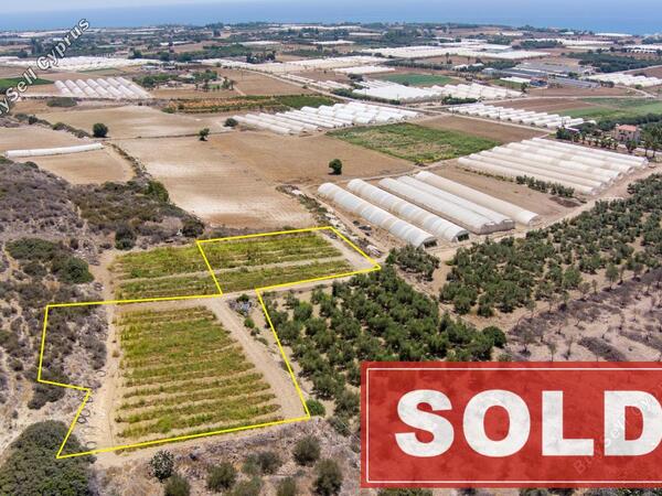land sold maroni larnaca 1114419 image 1381541