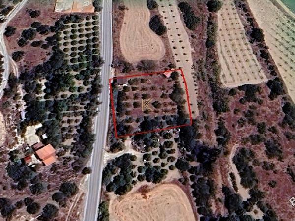 land for sale agios theodoros larnacas larnaca 1649519 image 14767912