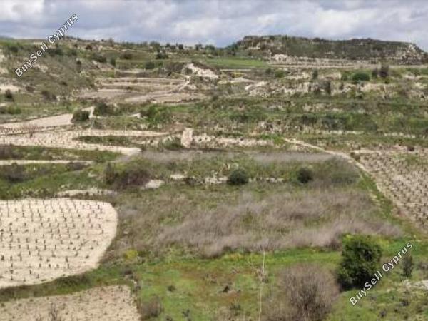 land for sale pachna limassol 8743519 image 16413486