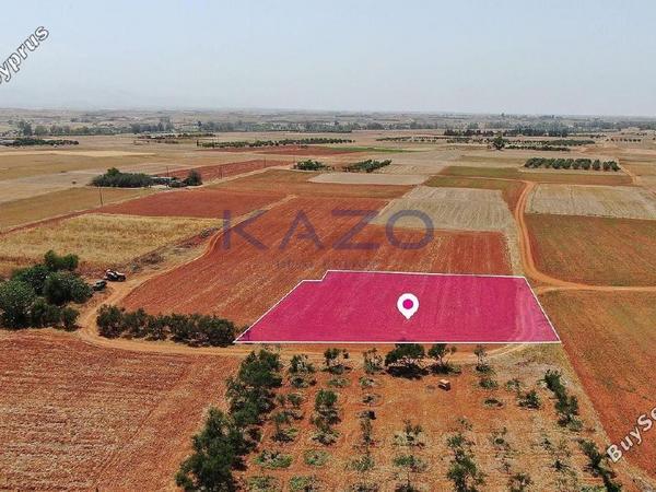 land for sale palaiometocho nicosia 1736519 image 7549651