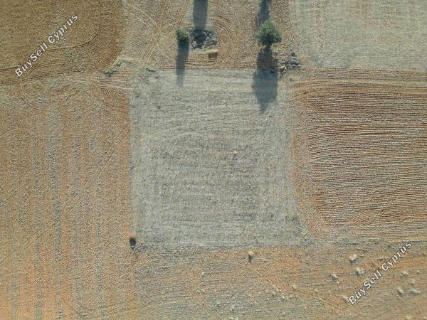 land for sale palaiometocho nicosia 944519 image 15601668