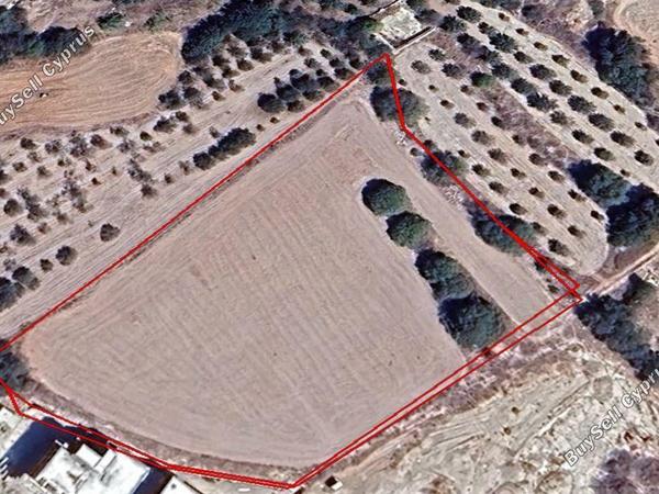 plot for sale geroskipou paphos 1677519 image 4339857