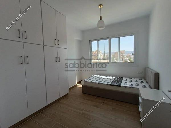 3 bedroom apartment for sale paphos municipality paphos 8736619 image 16349695