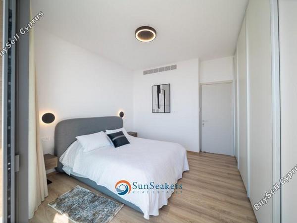 3 bedroom detached house for sale chlorakas paphos 8529619 image 15456243