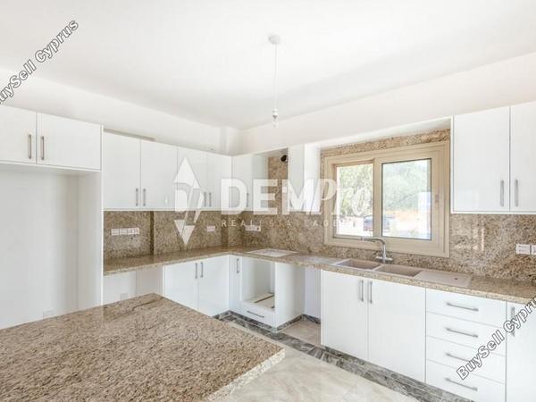 4 bedroom detached house for sale coral bay paphos 8219619 image 13737494