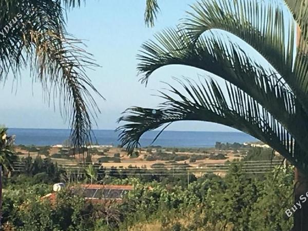 4 bedroom detached house for sale paramali limassol 1613619 image 5666540
