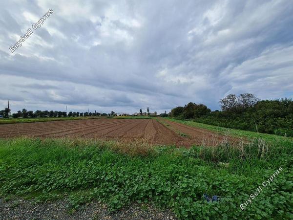 land for sale chlorakas paphos 1451619 image 4943933