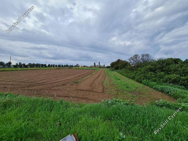 land for sale chlorakas paphos 1451619 image 4943936