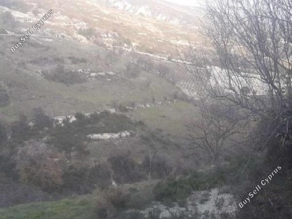 land for sale koilani limassol 826619 image 16009894