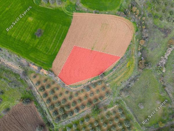 land for sale mitsero nicosia 1145619 image 15602352