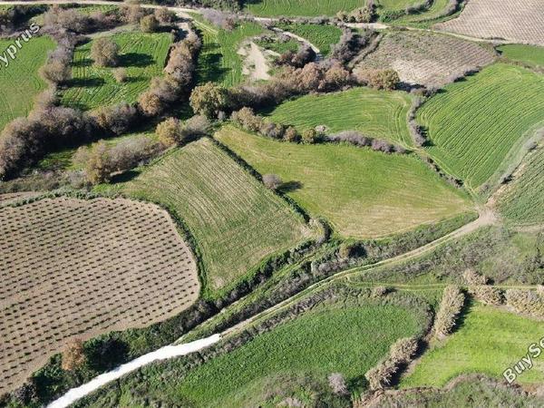 land for sale stroumbi paphos 1897619 image 14206891