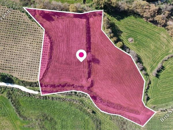 land for sale stroumbi paphos 1897619 image 14206895