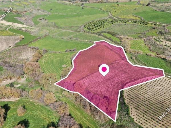 land for sale stroumbi paphos 1897619 image 14206896