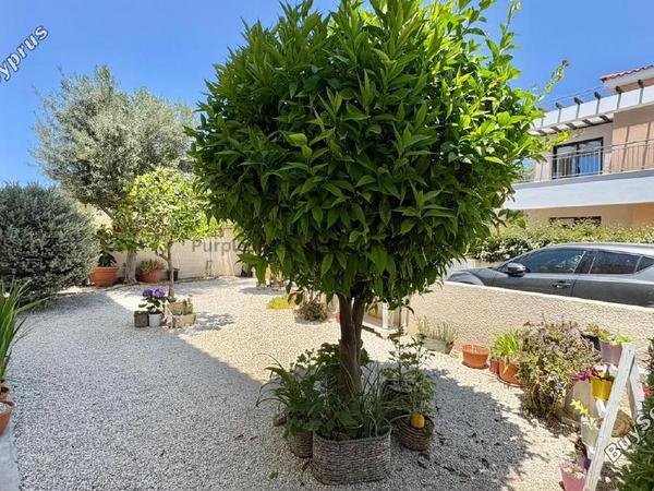 3 bedroom detached house for sale peyia paphos 7546719 image 10309143
