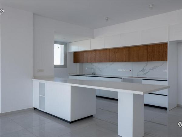3 bedroom penthouse for sale strovolos nicosia 1233719 image 16183647