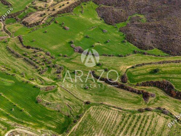 land for sale kofinou larnaca 8168719 image 13530805