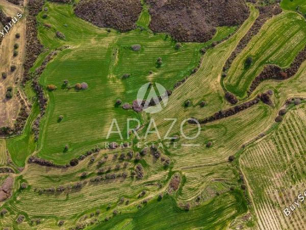 land for sale kofinou larnaca 8168719 image 13530806