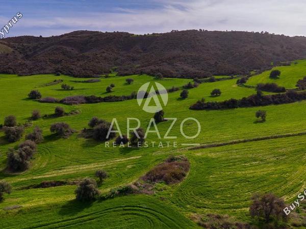 land for sale kofinou larnaca 8168719 image 13530807