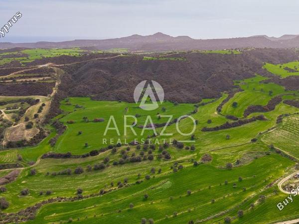 land for sale kofinou larnaca 8168719 image 13530809