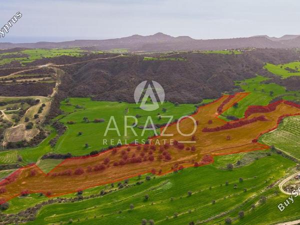 land for sale kofinou larnaca 8168719 image 13530816
