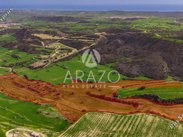 land for sale kofinou larnaca 8168719 image 13530818